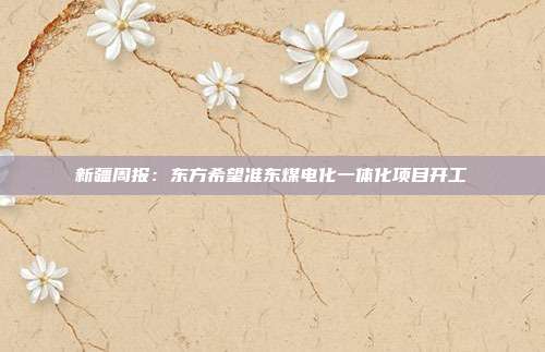新疆周报:东方希望准东煤电化一体化项目开工