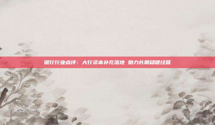 银行行业点评:大行资本补充落地 助力长期稳健经营