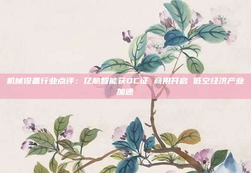 机械设备行业点评:亿航智能获OC证 商用开启 低空经济产业加速