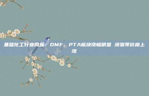 基础化工行业周报:DMF、PTA板块涨幅明显 液氯等价格上涨