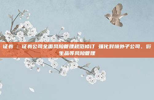 证券Ⅱ:证券公司全面风险管理规范修订 强化对境外子公司、衍生品等风险管理