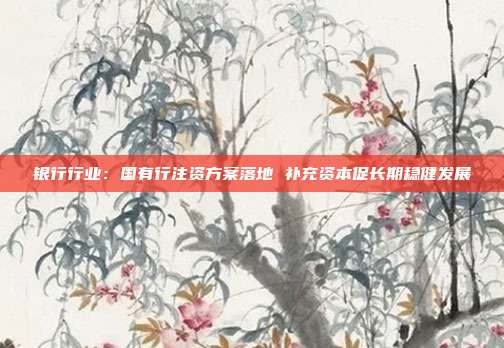 银行行业:国有行注资方案落地 补充资本促长期稳健发展
