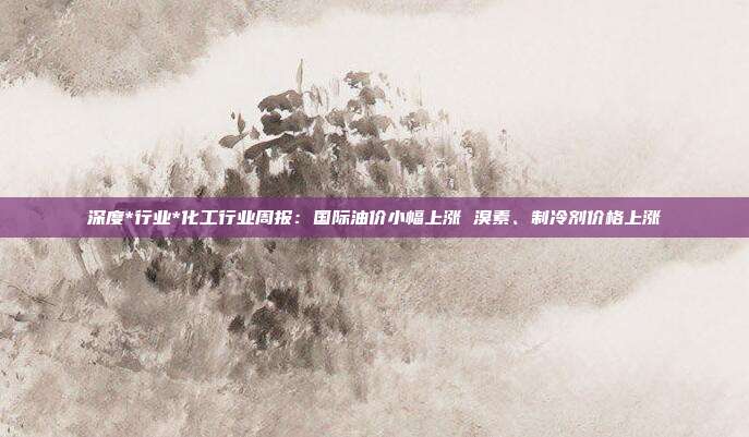深度*行业*化工行业周报:国际油价小幅上涨 溴素、制冷剂价格上涨