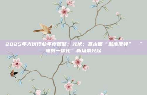 2025年光伏行业年度策略:光伏:基本面“触底反弹” “电算一体化”新场景兴起