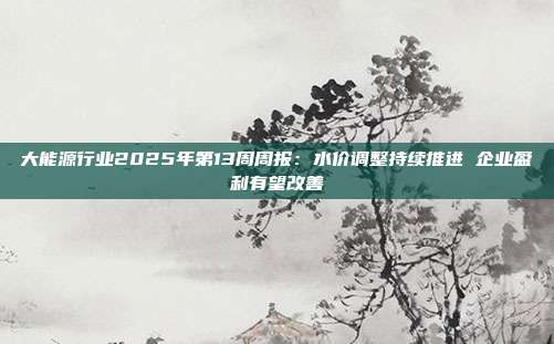 大能源行业2025年第13周周报:水价调整持续推进 企业盈利有望改善