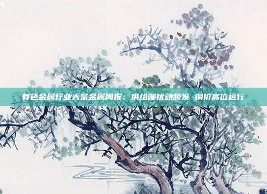 有色金属行业大宗金属周报:供给端扰动频发 铜价高位运行