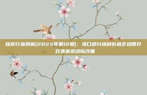 煤炭行业周报(2025年第12期):港口部分煤种价格企稳回升 双焦需求边际改善