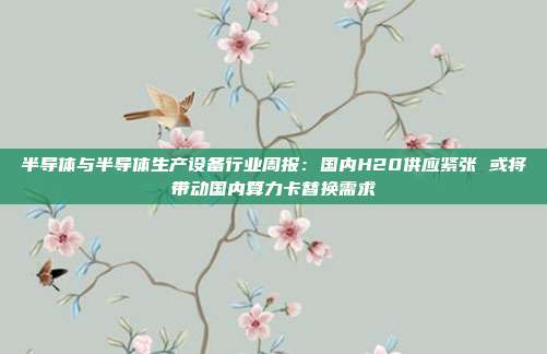 半导体与半导体生产设备行业周报:国内H20供应紧张 或将带动国内算力卡替换需求