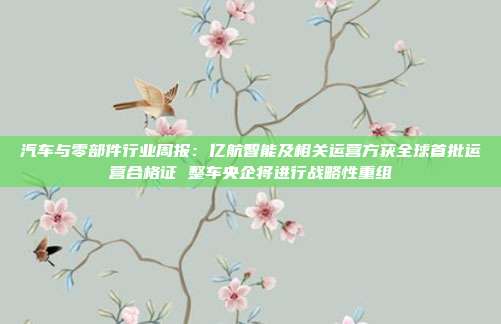 汽车与零部件行业周报:亿航智能及相关运营方获全球首批运营合格证 整车央企将进行战略性重组