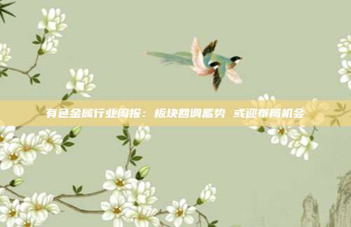 有色金属行业周报:板块回调蓄势 或迎布局机会