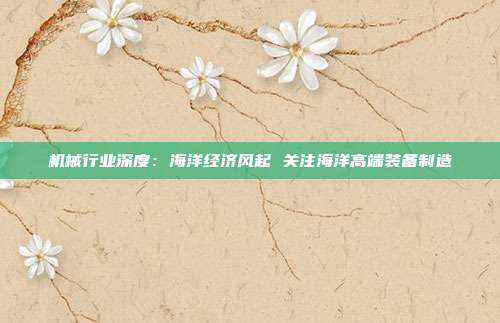机械行业深度:海洋经济风起 关注海洋高端装备制造