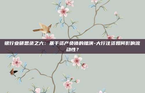 银行业研思录之六:基于资产负债的推演-大行注资如何影响流动性?
