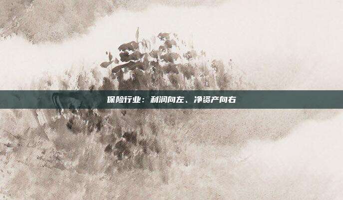 保险行业:利润向左、净资产向右