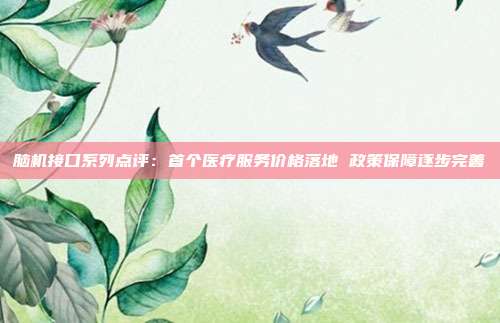 脑机接口系列点评:首个医疗服务价格落地 政策保障逐步完善