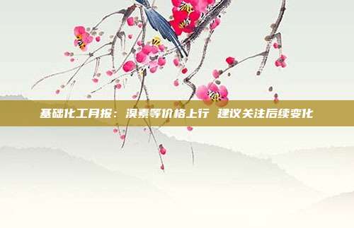 基础化工月报:溴素等价格上行 建议关注后续变化