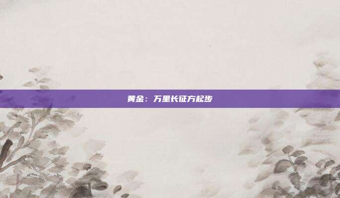 黄金:万里长征方起步