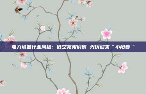 电力设备行业周报:低空亮相消博 光伏迎来“小阳春“