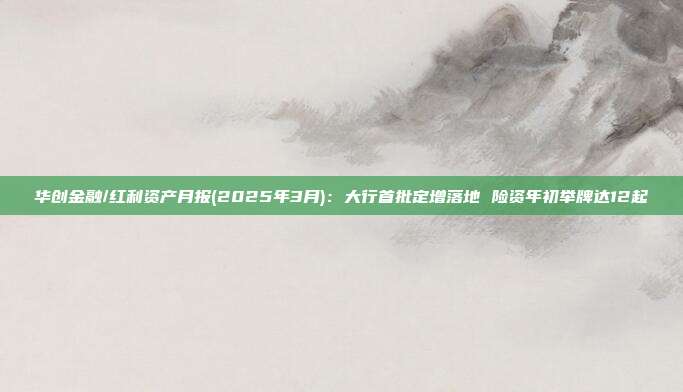华创金融/红利资产月报(2025年3月):大行首批定增落地 险资年初举牌达12起
