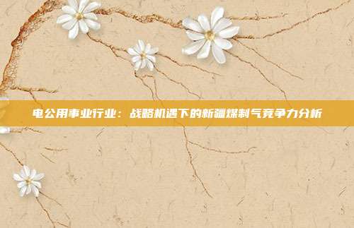 电公用事业行业:战略机遇下的新疆煤制气竞争力分析