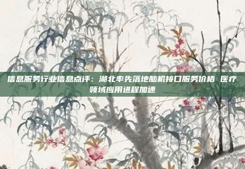 信息服务行业信息点评:湖北率先落地脑机接口服务价格 医疗领域应用进程加速