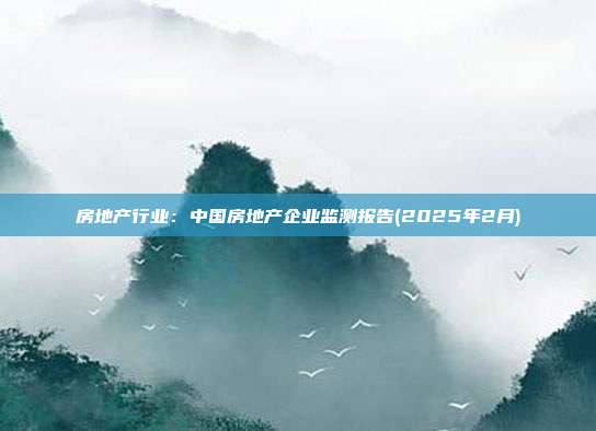 房地产行业:中国房地产企业监测报告(2025年2月)