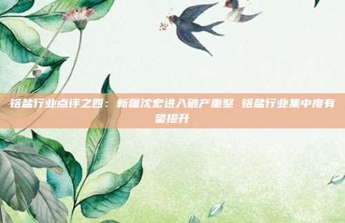 铬盐行业点评之四:新疆沈宏进入破产重整 铬盐行业集中度有望提升