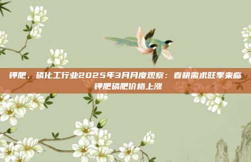 钾肥、磷化工行业2025年3月月度观察:春耕需求旺季来临 钾肥磷肥价格上涨