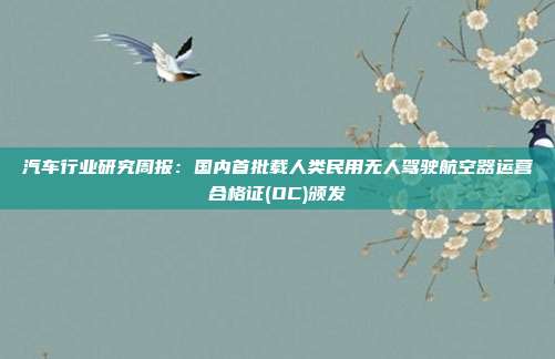 汽车行业研究周报:国内首批载人类民用无人驾驶航空器运营合格证(OC)颁发