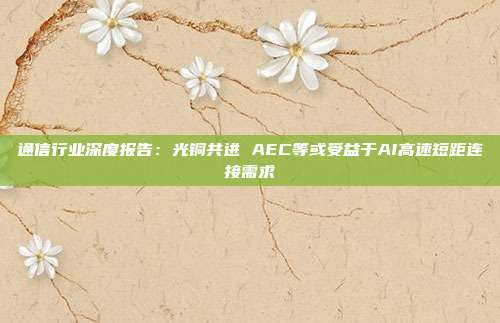 通信行业深度报告:光铜共进 AEC等或受益于AI高速短距连接需求