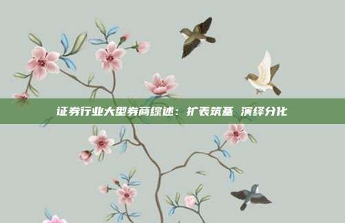 证券行业大型券商综述:扩表筑基 演绎分化