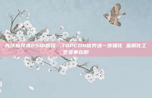 光伏新技术25Q1跟踪:TOPCON优势进一步强化 金属化工艺变革在即