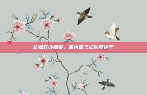 传媒行业周报:看内需寻成长型选手