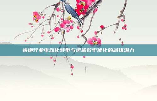 快递行业电动化转型与运输效率优化的减排潜力