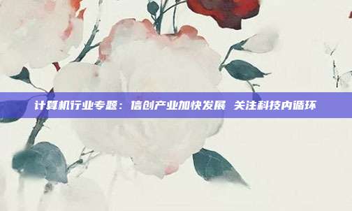 计算机行业专题:信创产业加快发展 关注科技内循环
