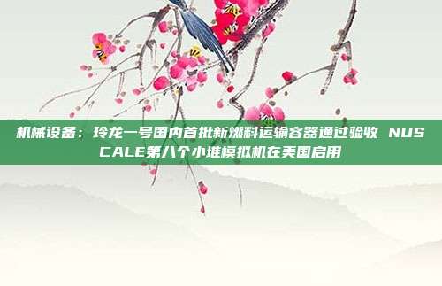 机械设备:玲龙一号国内首批新燃料运输容器通过验收 NUSCALE第八个小堆模拟机在美国启用