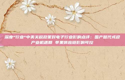 深度*行业*中美关税政策对电子行业影响点评:国产替代或迎产业机遇期 苹果供应链影响可控
