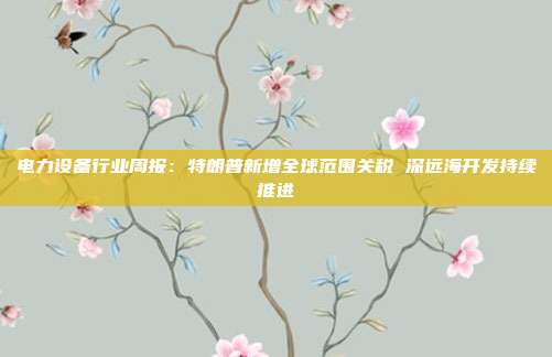 电力设备行业周报:特朗普新增全球范围关税 深远海开发持续推进
