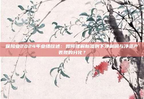保险业2024年业绩综述:如何理解新准则下净利润与净资产表现的分化?