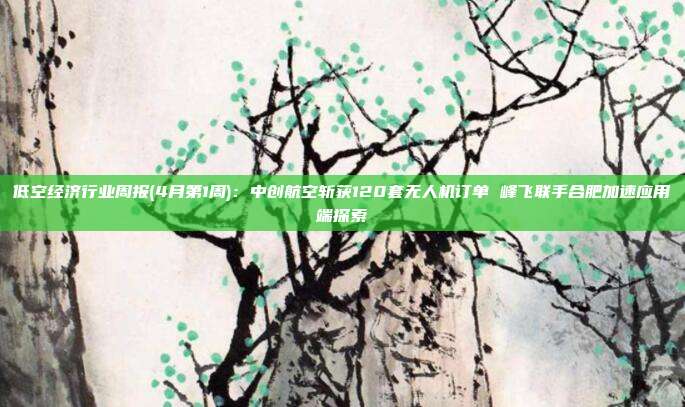 低空经济行业周报(4月第1周):中创航空斩获120套无人机订单 峰飞联手合肥加速应用端探索