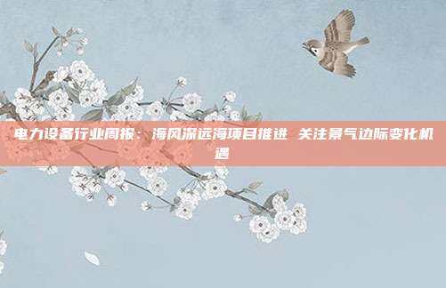电力设备行业周报:海风深远海项目推进 关注景气边际变化机遇