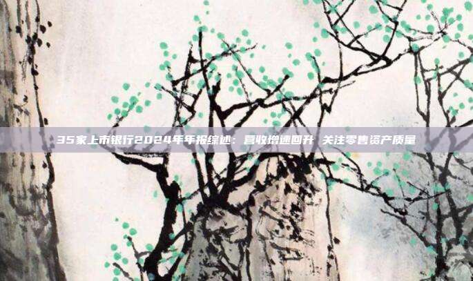 35家上市银行2024年年报综述:营收增速回升 关注零售资产质量