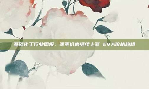 基础化工行业周报:溴素价格继续上涨 EVA价格趋稳