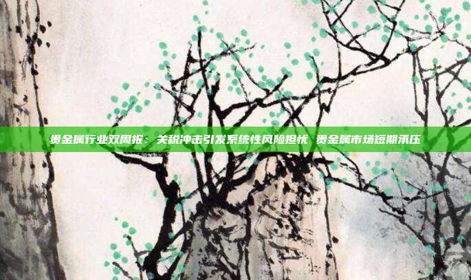 贵金属行业双周报:关税冲击引发系统性风险担忧 贵金属市场短期承压