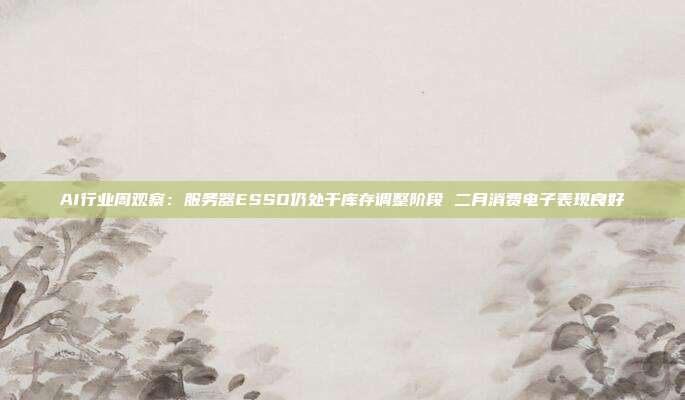 AI行业周观察:服务器ESSD仍处于库存调整阶段 二月消费电子表现良好