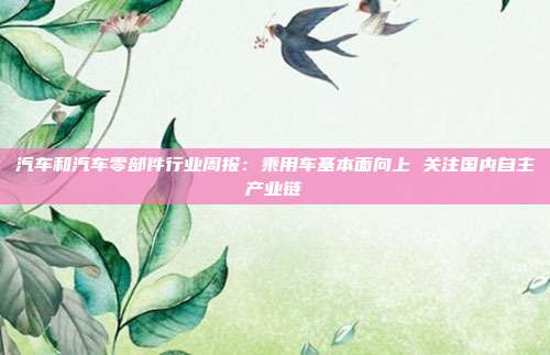 汽车和汽车零部件行业周报:乘用车基本面向上 关注国内自主产业链