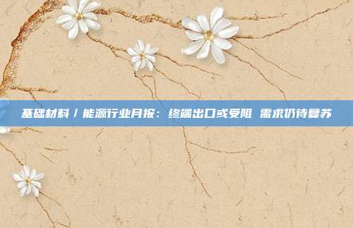 基础材料/能源行业月报:终端出口或受阻 需求仍待复苏