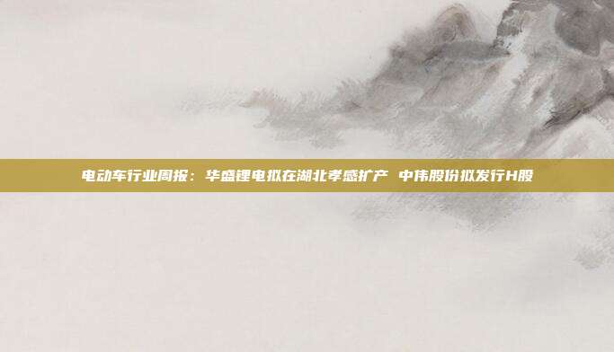 电动车行业周报:华盛锂电拟在湖北孝感扩产 中伟股份拟发行H股