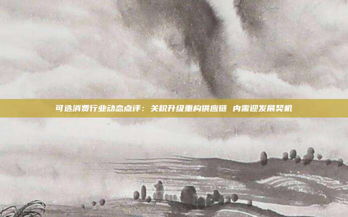 可选消费行业动态点评:关税升级重构供应链 内需迎发展契机