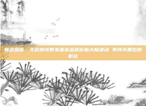 有色金属:关税担忧带来基本金属价格大幅波动 等待风暴后的机会