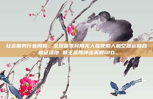 社会服务行业周报:全球首张民用无人驾驶载人航空器运营合格证落地 霸王茶姬冲击美股IPO